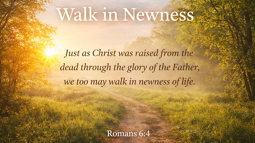 Walk in Newness, A wide 16:9 photo-realistic image of a sunlit path winding through fresh spring grass and trees in early morning light, symbolizing new life in Christ.