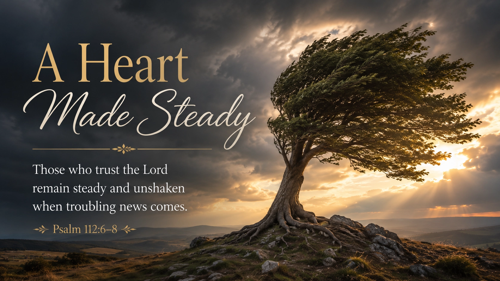 A Heart Made Steady